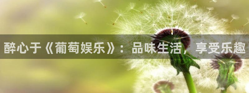 upload/20250701114914.jpg